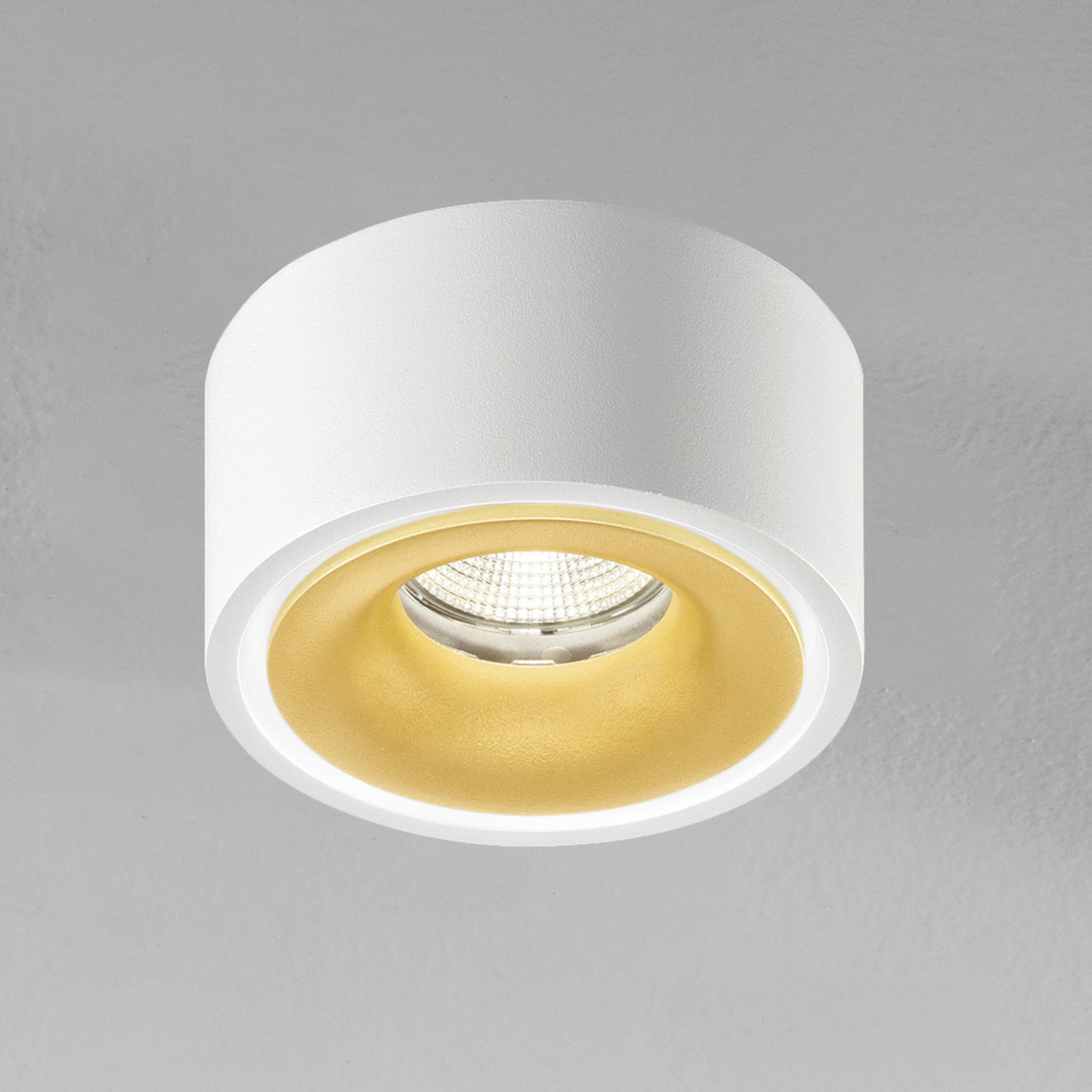 EGG DLS LED spot Clippo EP, white-gold, 3,000K